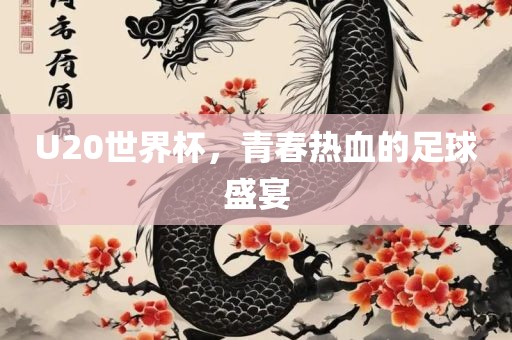 U20世界杯，青春热血的足球盛宴