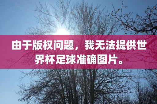 由于版权问题，我无法提供世界杯足球准确图片。漯河市盈旭机械设备有限公司