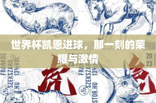 世界杯凯恩进球，那一刻的荣耀与激情