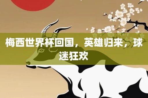 梅西世界杯回国，英雄归来，球迷狂欢
