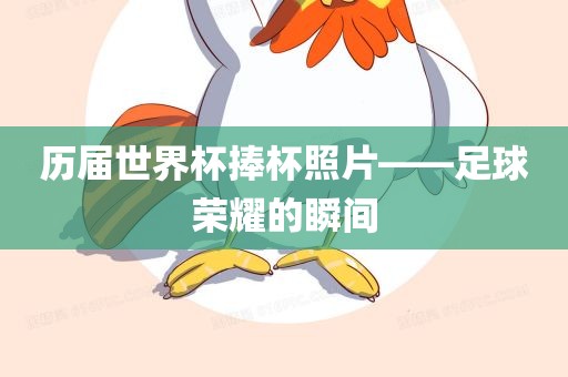 历届世界杯捧杯照片——足球荣耀的瞬间漯河市盈旭机械设备有限公司