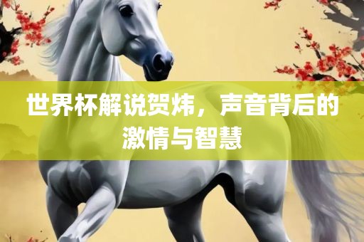 世界杯解说贺炜，声音背后的激情与智慧