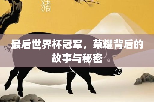 最后世界杯冠军，荣耀背后的故事与秘密
