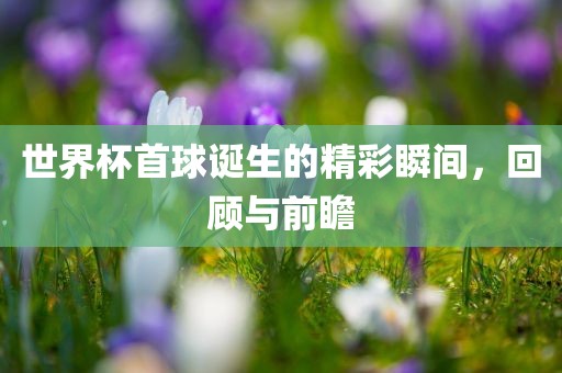 世界杯首球诞生的精彩瞬间，回顾与前瞻漯河市盈旭机械设备有限公司
