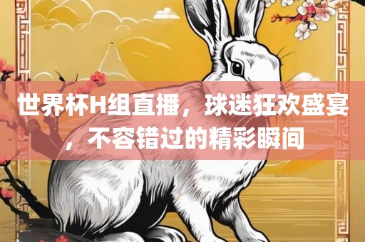 世界杯H组直播，球迷狂欢盛宴，不容错过的精彩瞬间漯河市盈旭机械设备有限公司