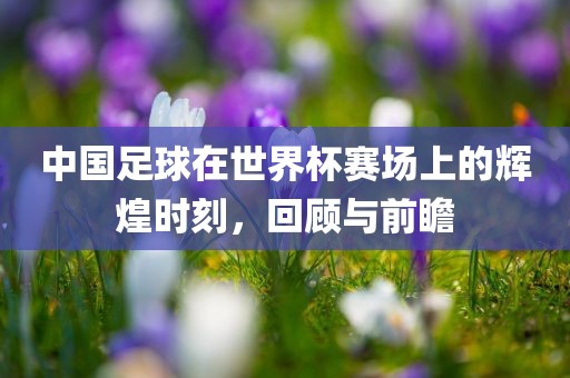 中国足球在世界杯赛场上的辉煌时刻，回顾与前瞻