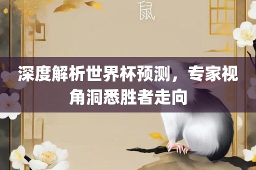 深度解析世界杯预测，专家视角洞悉胜者走向