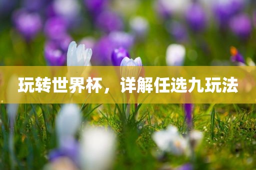漯河市盈旭机械设备有限公司玩转世界杯，详解任选九玩法