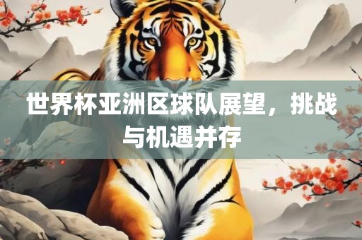 世界杯亚洲区球队展望，挑战与机遇并存