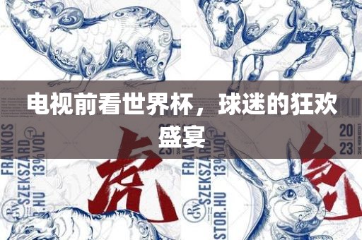 电视前看世界杯，球迷的狂欢盛宴