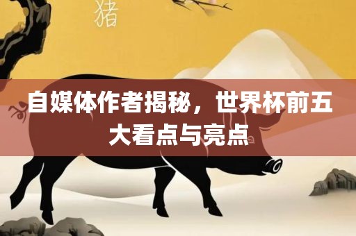 自媒体作者揭秘，世界杯前五大看点与亮点