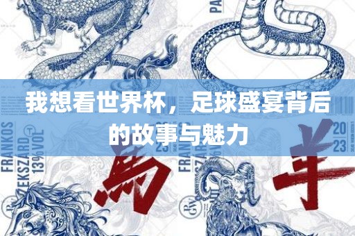 我想看世界杯，足球盛宴背后的故事与魅力