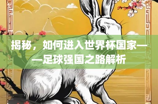 揭秘，如何进入世界杯国家——足球强国之路解析