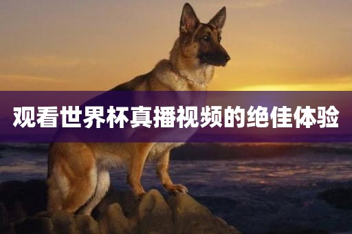 观看世界杯真播视频的绝佳体验漯河市盈旭机械设备有限公司