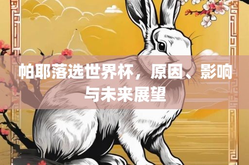 帕耶落选世界杯，原因、影响与未来展望