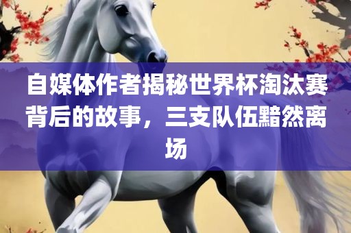 自媒体作者揭秘世界杯淘汰赛背后的故事，三支队伍黯然离场