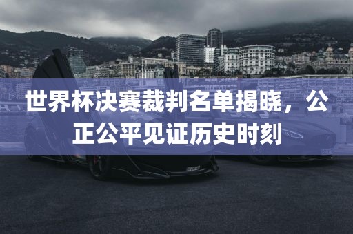 世界杯决赛裁判名单揭晓，公正公平见证历史时刻漯河市盈旭机械设备有限公司