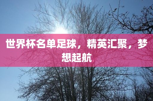 世界杯名单足球，精英汇聚，梦想起航