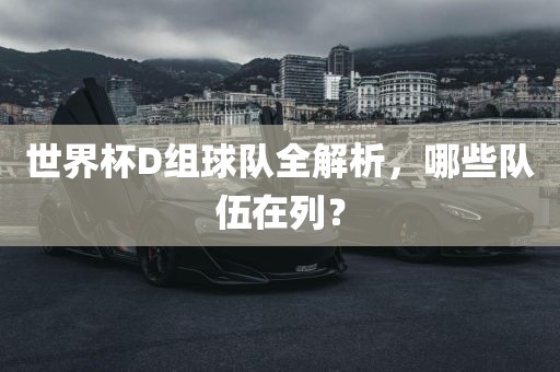 世界杯D组球队全解析，哪些队伍在列？