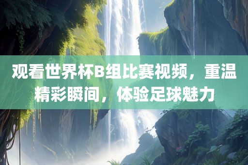 观看世界杯B组比赛视频，重温精彩瞬间，体验足球魅力