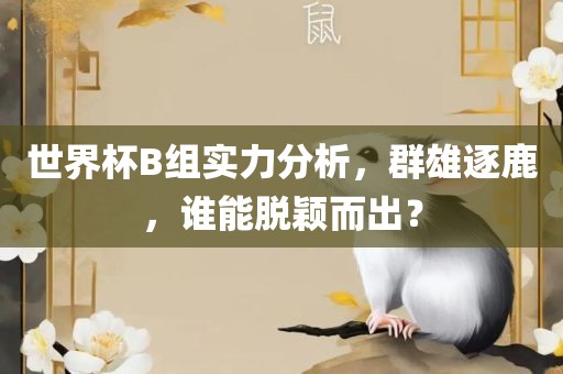 世界杯B组实力分析，群雄逐鹿，谁能脱颖而出？
