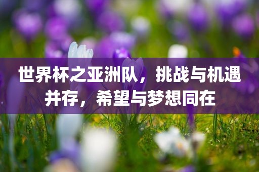 世界杯之亚洲队，挑战与机遇并存，希望与梦想同在