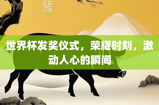 世界杯发奖仪式，荣耀时刻，激动人心的瞬间