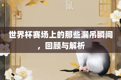世界杯赛场上的那些漏吊瞬间，回顾与解析漯河市盈旭机械设备有限公司