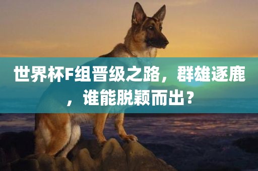 世界杯F组晋级之路，群雄逐鹿，谁能脱颖而出？