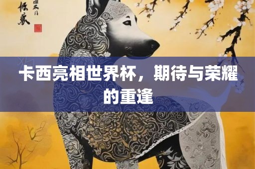 卡西亮相世界杯，期待与荣耀的重逢