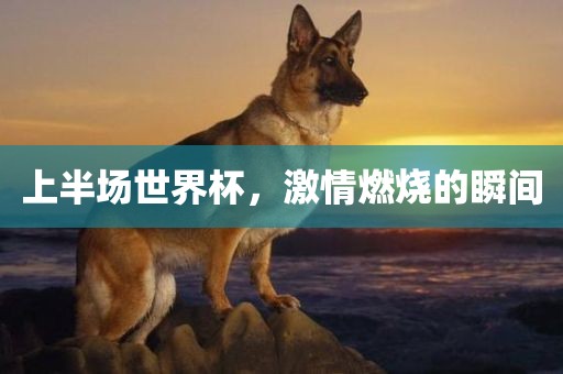上半场世界杯，激情燃烧的瞬间