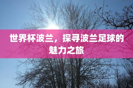 世界杯波兰，探寻波兰足球的魅力之旅漯河市盈旭机械设备有限公司