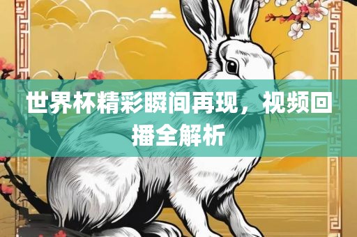 世界杯精彩瞬间再现，视频回播全解析