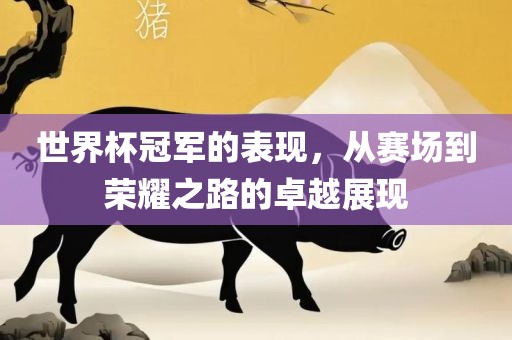 世界杯冠军的表现，从赛场到荣耀之路的卓越展现