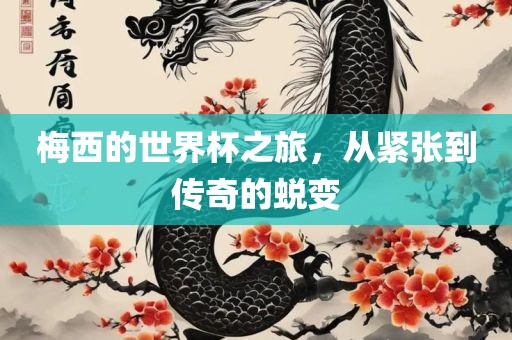 梅西的世界杯之旅，从紧张到传奇的蜕变