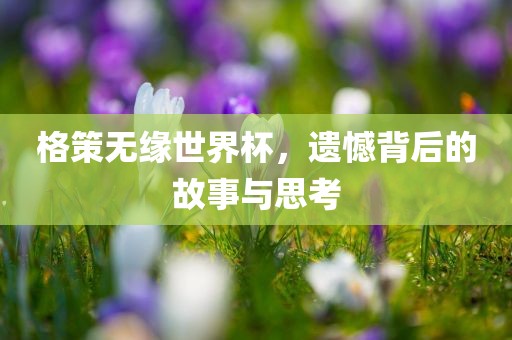 格策无缘世界杯，遗憾背后的故事与思考漯河市盈旭机械设备有限公司