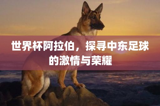 世界杯阿拉伯，探寻中东足球的激情与荣耀漯河市盈旭机械设备有限公司