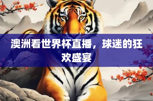澳洲看世界杯直播，球迷的狂欢盛宴漯河市盈旭机械设备有限公司