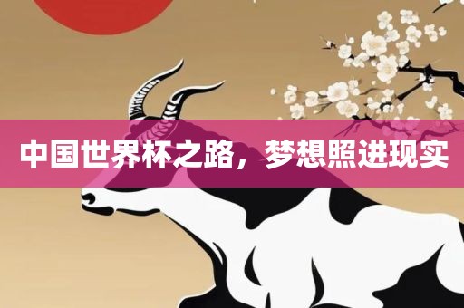中国世界杯之路，梦想照进现实