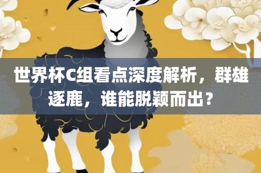 世界杯C组看点深度解析，群雄逐鹿，谁能脱颖而出？