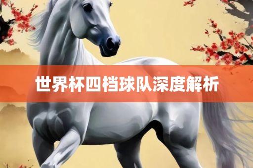 世界杯四档球队深度解析漯河市盈旭机械设备有限公司