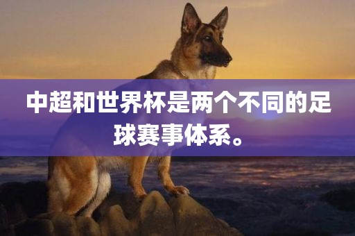 中超和世界杯是两个不同的足球赛漯河市盈旭机械设备有限公司事体系。