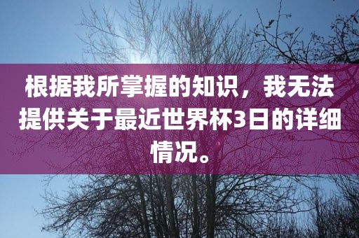 根据我所掌握的知识，我无法提供关于最近世界杯3日的详细情况。漯河市盈旭机械设备有限公司