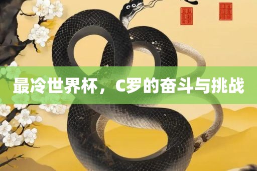 最冷世界杯，C罗的奋斗与挑战漯河市盈旭机械设备有限公司