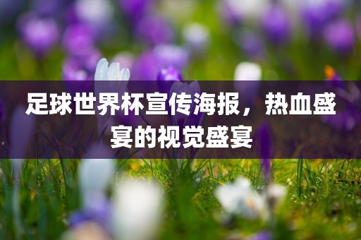 足球世界杯宣传海报，热血盛宴的视觉盛宴