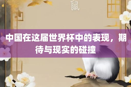 中国在这届世界杯中的表现，期待与现实的碰撞