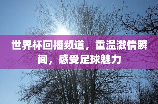 世界杯回播频道，重温激情瞬间，感受足球魅力