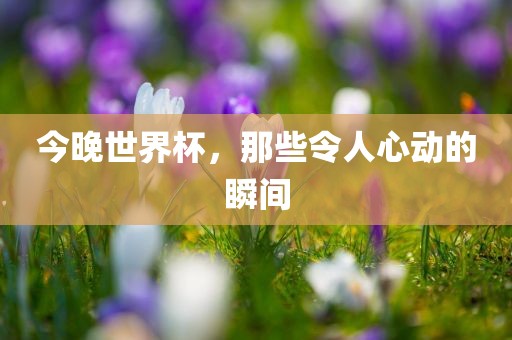 今晚世界杯，那些令人心动的瞬间