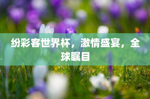 纷彩客世界杯，激情盛宴，全球瞩目漯河市盈旭机械设备有限公司