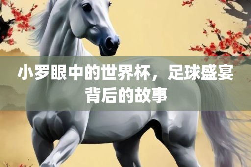 小罗眼中的世界杯，足球盛宴背后的故事漯河市盈旭机械设备有限公司